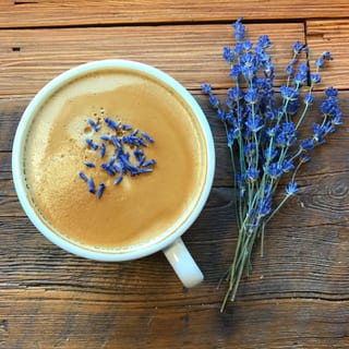 Lavender Latte