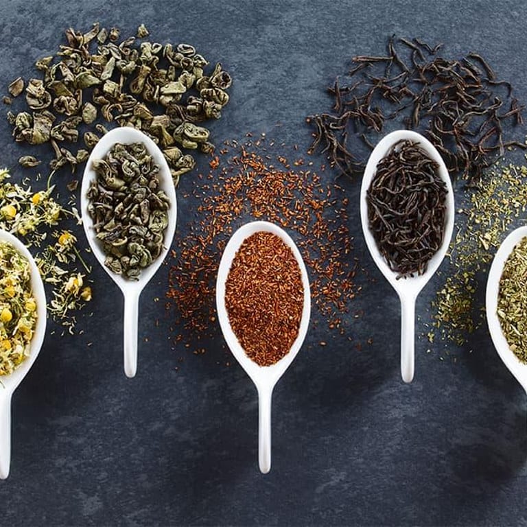 Discover our tea selection
